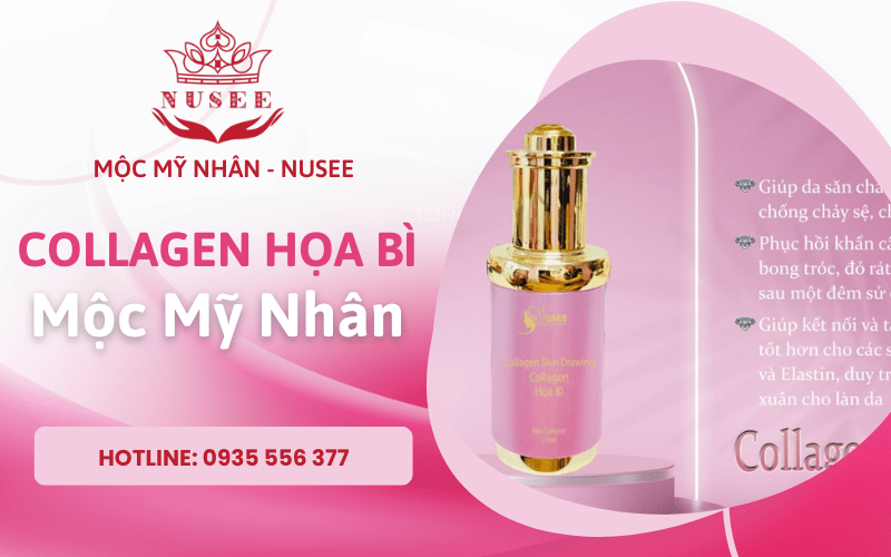 collagen họa bì